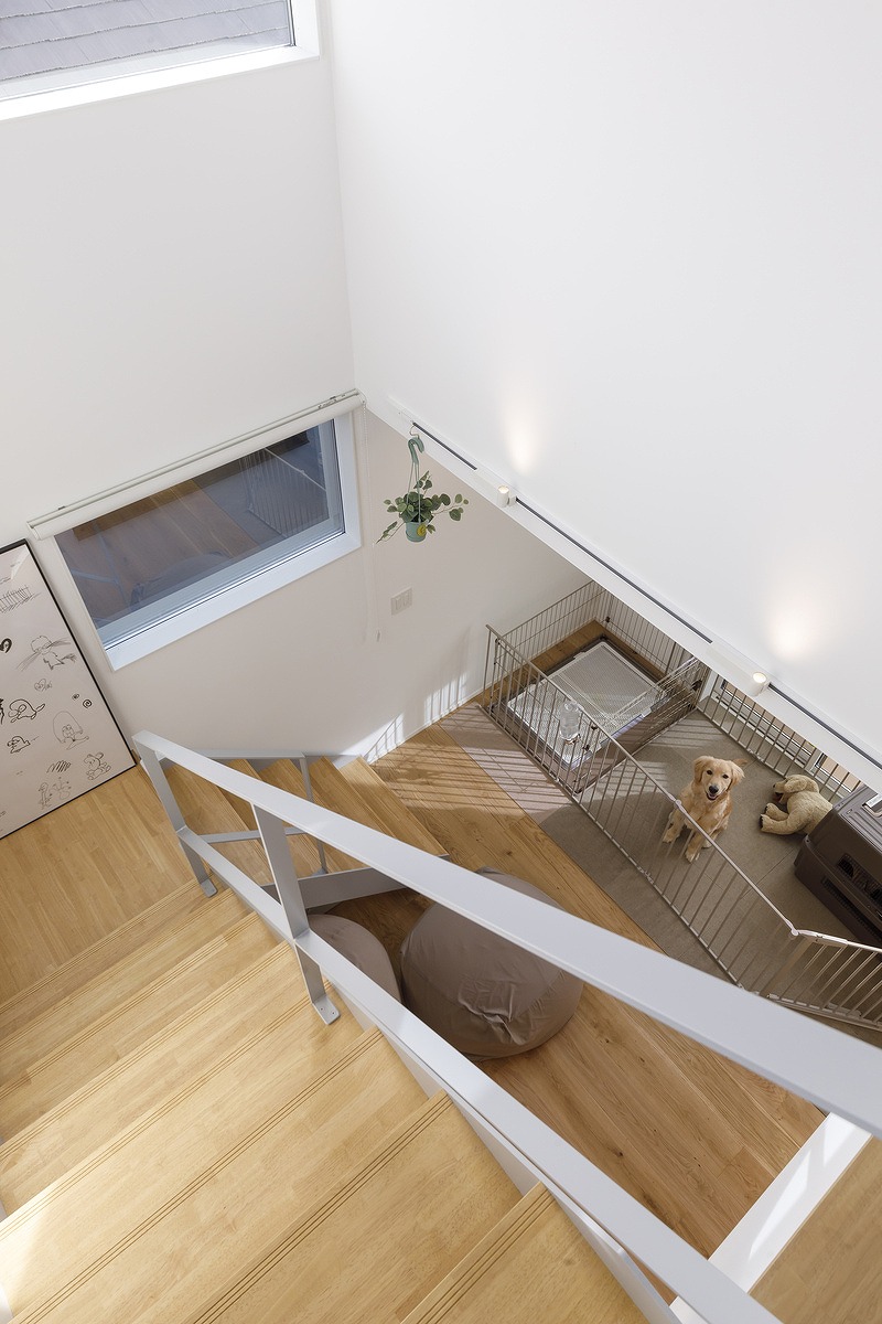 愛犬と暮らす北欧ナチュラルハウス