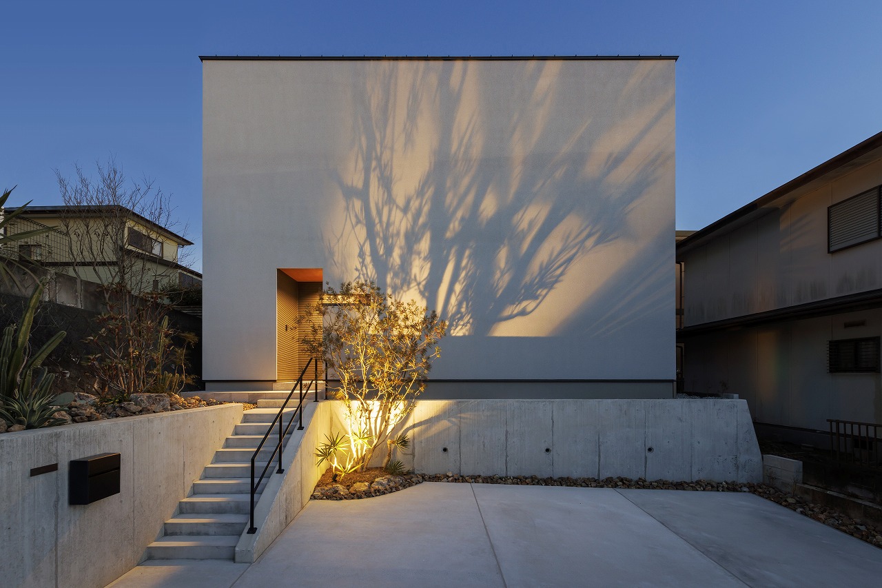 開放感とプライバシーを両立した美術館のような家